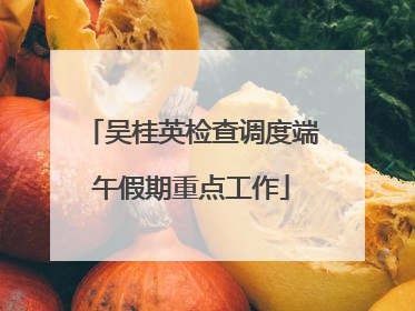 吴桂英检查调度端午假期重点工作