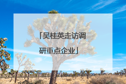 吴桂英走访调研重点企业