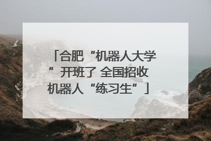 合肥“机器人大学”开班了 全国招收机器人“练习生”