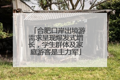 合肥口岸出境游需求呈现爆发式增长，学生群体及家庭游客是主力军