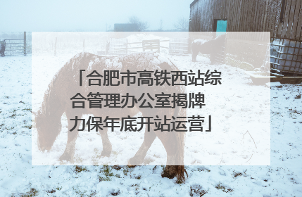合肥市高铁西站综合管理办公室揭牌 力保年底开站运营