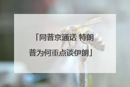 同普京通话 特朗普为何重点谈伊朗