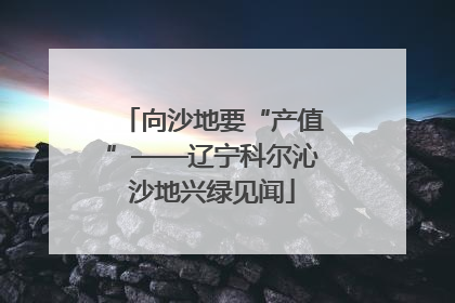 向沙地要“产值”——辽宁科尔沁沙地兴绿见闻