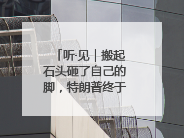 听·见｜搬起石头砸了自己的脚，特朗普终于“慌”了！
