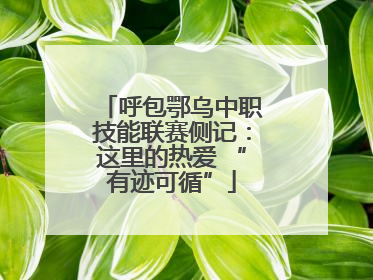 呼包鄂乌中职技能联赛侧记：这里的热爱 “有迹可循”
