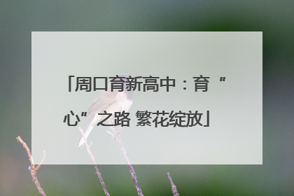 周口育新高中：育“心”之路 繁花绽放