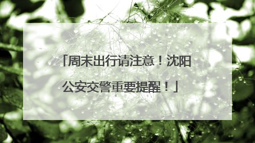 周末出行请注意！沈阳公安交警重要提醒！
