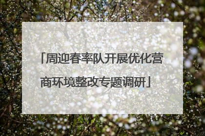 周迎春率队开展优化营商环境整改专题调研