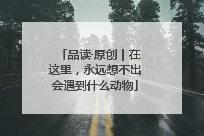 品读·原创｜在这里，永远想不出会遇到什么动物
