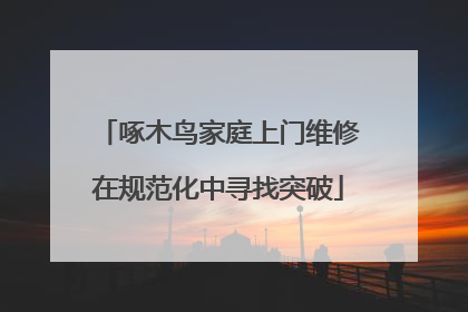 啄木鸟家庭上门维修在规范化中寻找突破
