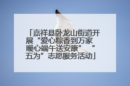 嘉祥县卧龙山街道开展“爱心粽香到万家 暖心端午送安康” “五为”志愿服务活动