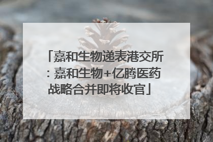 嘉和生物递表港交所：嘉和生物+亿腾医药战略合并即将收官