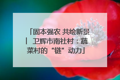 固本强农 共绘新景 ︳卫辉市南社村：蔬菜村的“链”动力