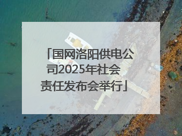 国网洛阳供电公司2025年社会责任发布会举行