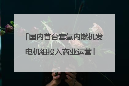 国内首台套氢内燃机发电机组投入商业运营