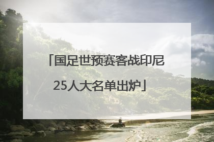 国足世预赛客战印尼25人大名单出炉