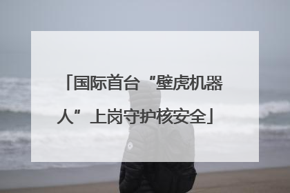 国际首台“壁虎机器人”上岗守护核安全