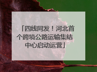 四线同发！河北首个跨境公路运输集结中心启动运营
