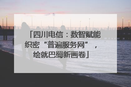 四川电信：数智赋能织密“普遍服务网”，绘就巴蜀新画卷