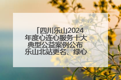四川乐山2024年度心连心服务十大典型公益案例公布 乐山北站更名、绿心路井盖治理等上榜