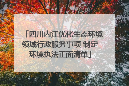 四川内江优化生态环境领域行政服务事项 制定环境执法正面清单