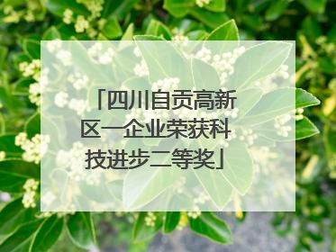 四川自贡高新区一企业荣获科技进步二等奖