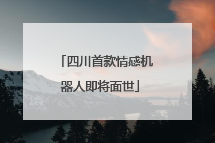四川首款情感机器人即将面世