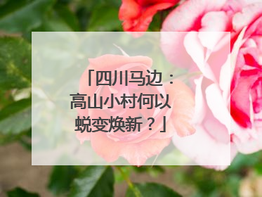 四川马边：高山小村何以蜕变焕新？