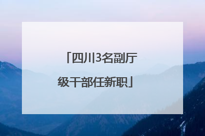 四川3名副厅级干部任新职
