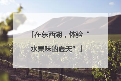 在东西湖，体验“水果味的夏天”
