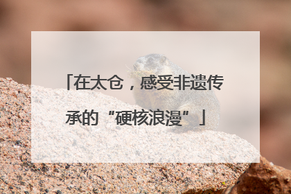 在太仓，感受非遗传承的“硬核浪漫”