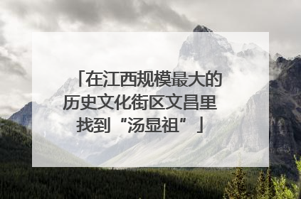 在江西规模最大的历史文化街区文昌里找到“汤显祖”
