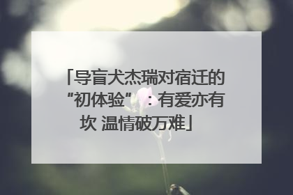 导盲犬杰瑞对宿迁的“初体验”：有爱亦有坎 温情破万难