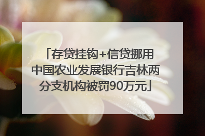 存贷挂钩+信贷挪用 中国农业发展银行吉林两分支机构被罚90万元