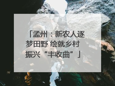 孟州：新农人逐梦田野 绘就乡村振兴“丰收曲”