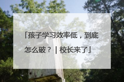 孩子学习效率低，到底怎么破？｜校长来了