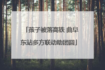 孩子被落高铁 曲阜东站多方联动助团圆