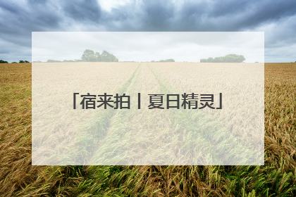 宿来拍丨夏日精灵