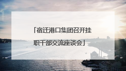 宿迁港口集团召开挂职干部交流座谈会