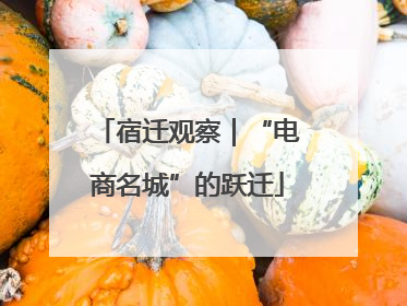 宿迁观察｜“电商名城”的跃迁