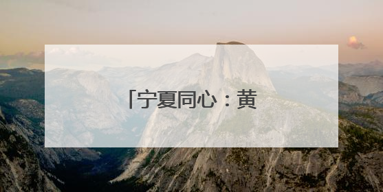 宁夏同心：黄河水润枸杞红