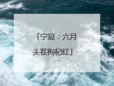 宁夏：六月头茬枸杞红