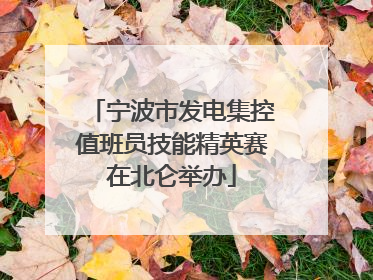 宁波市发电集控值班员技能精英赛在北仑举办