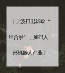 宁波打出新政“组合拳”，加码人形机器人产业