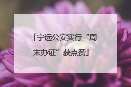 宁远公安实行“周末办证”获点赞