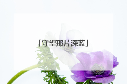 守望那片深蓝