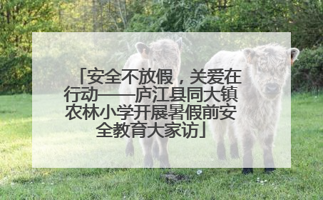 安全不放假，关爱在行动——庐江县同大镇农林小学开展暑假前安全教育大家访