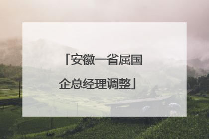 安徽一省属国企总经理调整
