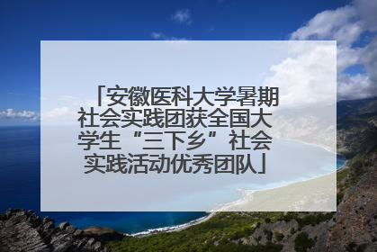 安徽医科大学暑期社会实践团获全国大学生“三下乡”社会实践活动优秀团队