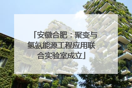 安徽合肥：聚变与氢氨能源工程应用联合实验室成立